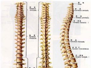 南京强脊诊疗中心